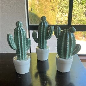 Green Ceramic Cactus Decor Set